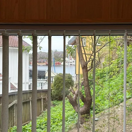 Tiny House In Apartament *