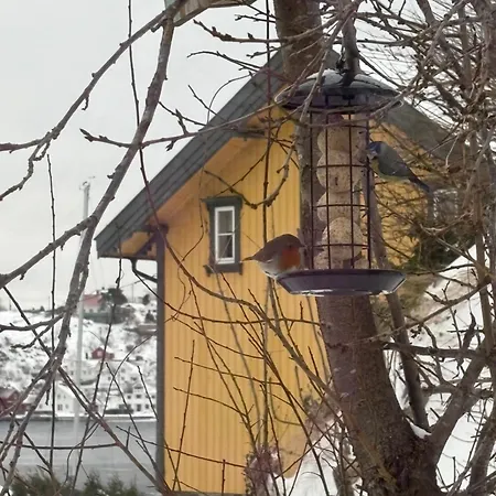 Tiny House In ארנדל