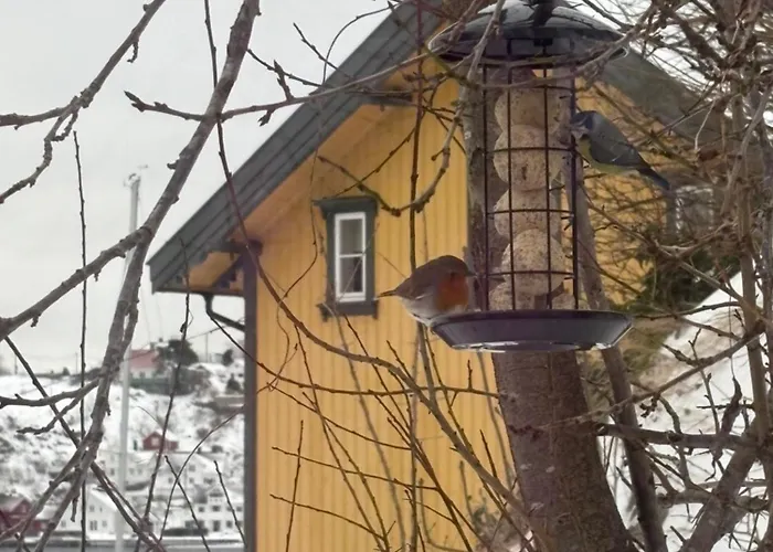 Tiny House In Arendal